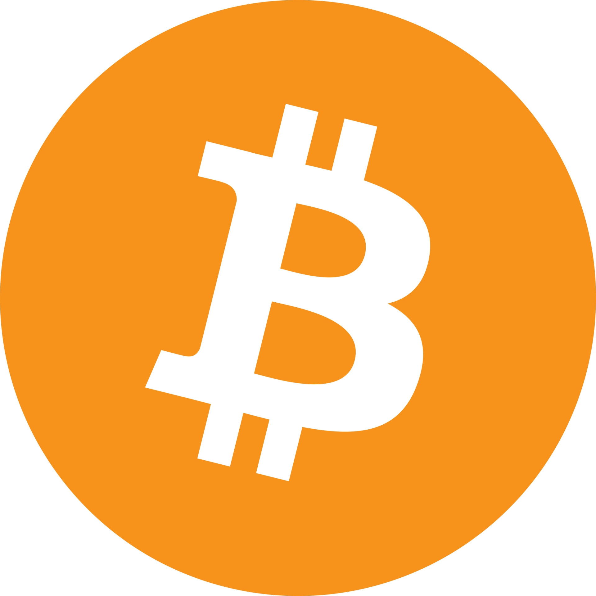 Secure Payment With Bitcoin