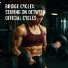 Bridge Cycles: Staying On Between Official Cycles