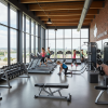 Best Canadian Gyms Edmonton: Top Picks 2026 — canadian gyms edmonton
