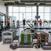Best Canadian Gyms Montreal: Top Picks 2026 — montreal gyms