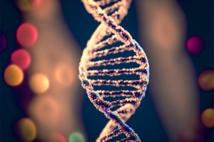 DNA double helix, the science behind peptide signalling