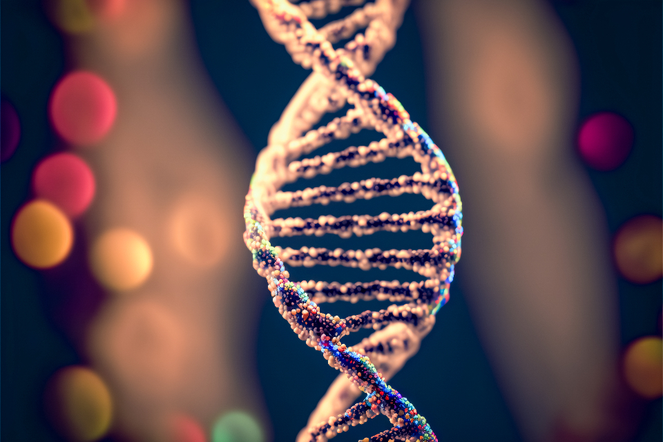 DNA double helix, the science behind peptide signalling