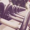 Rack of dumbbells