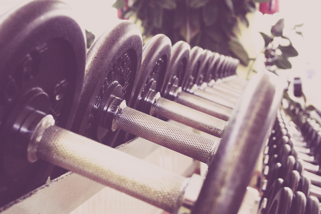 Rack of dumbbells