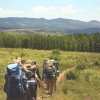 Group of hikers walking together