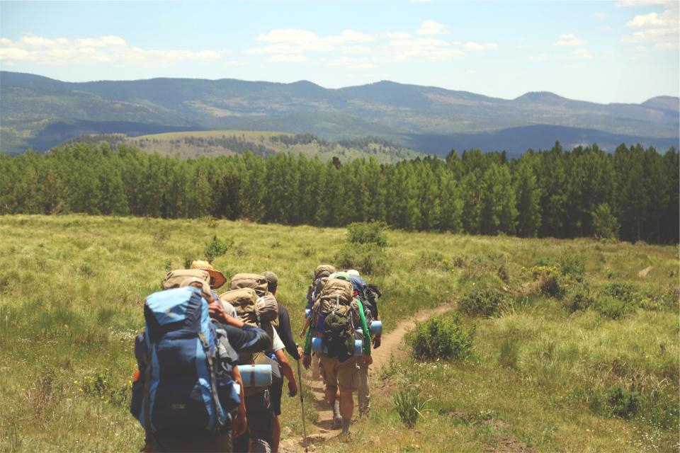 Group of hikers walking together