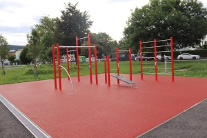 Outdoor calisthenics park with bars