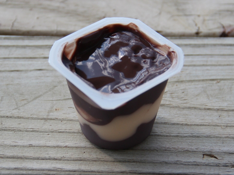 Five-Minute Chocolate Protein Pudding