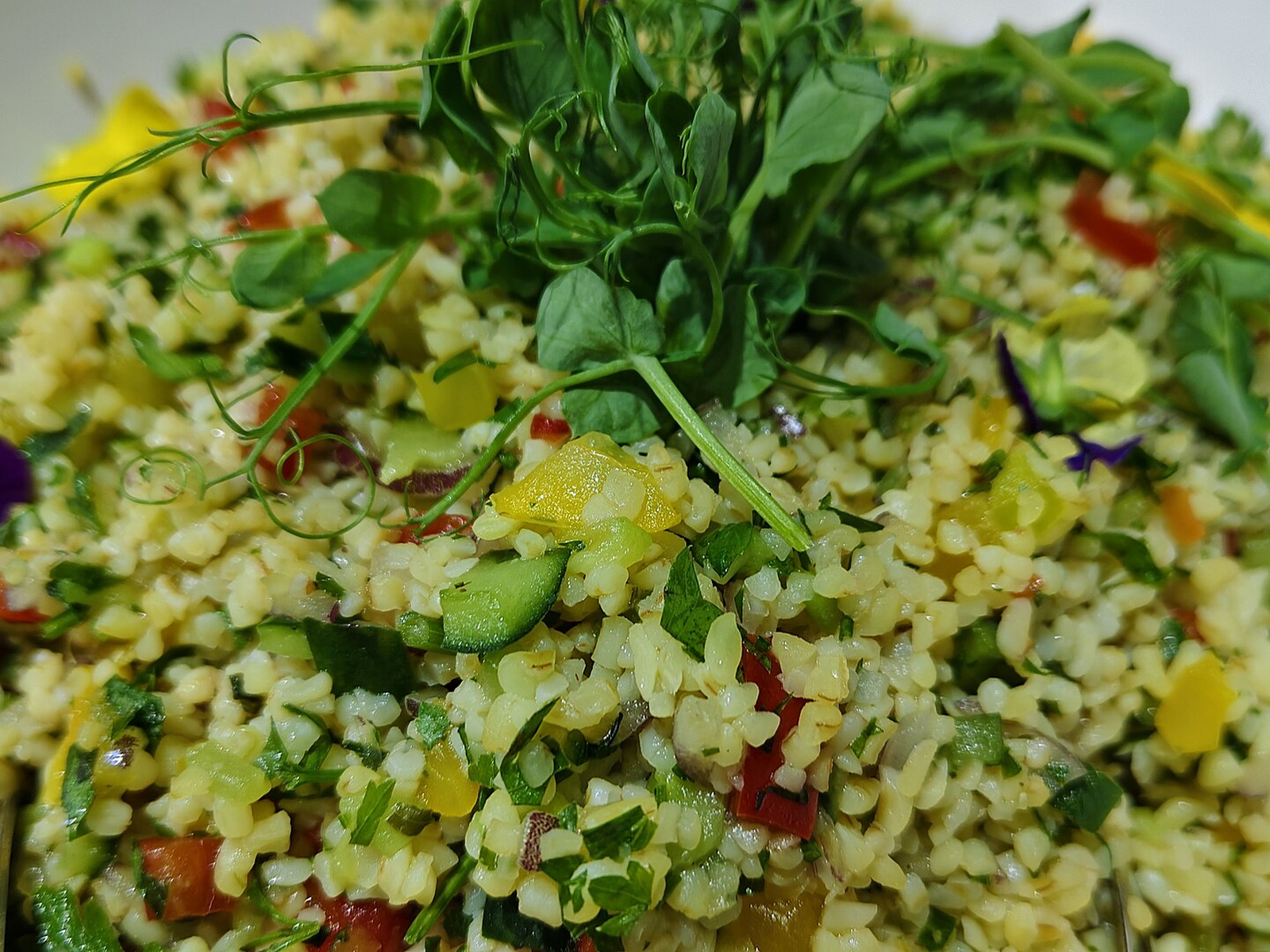 Salmon and Barley Salad