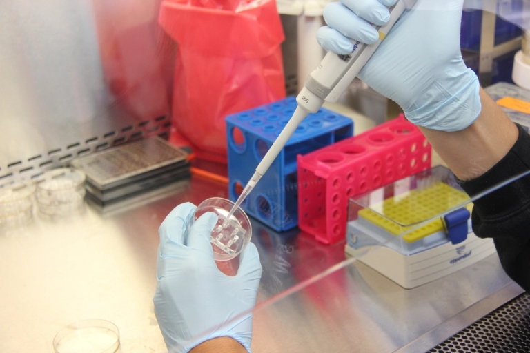 Researcher pipetting samples in a laboratory