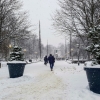 Snow-covered park path in winter