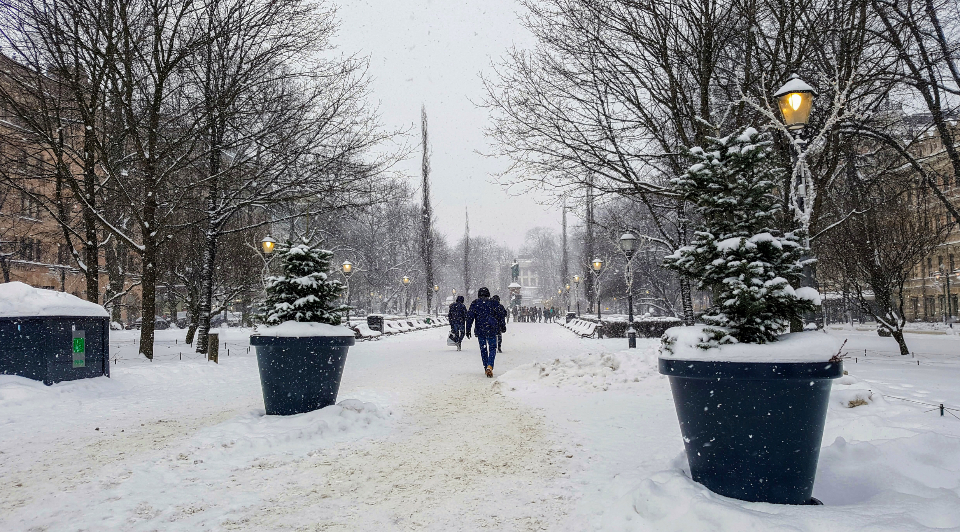 Snow-covered park path in winter