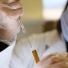 Gloved hands drawing liquid from a vial with a syringe