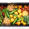 Crate of fresh vegetables for a liver-friendly diet
