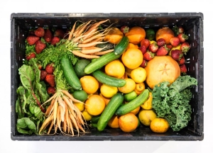 Crate of fresh vegetables for a liver-friendly diet